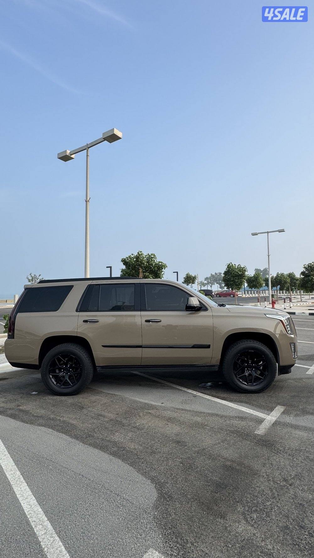 اسكاليد 2016 بلاتينيوم5