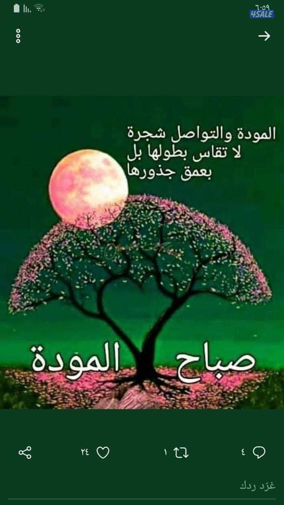 شاب مصري خبره في القياده علي معرفه بالمناطق ارغب بعمل مناسب0