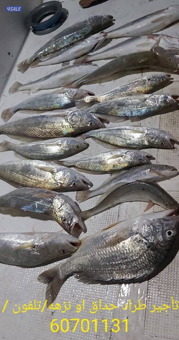 بنيد القار4