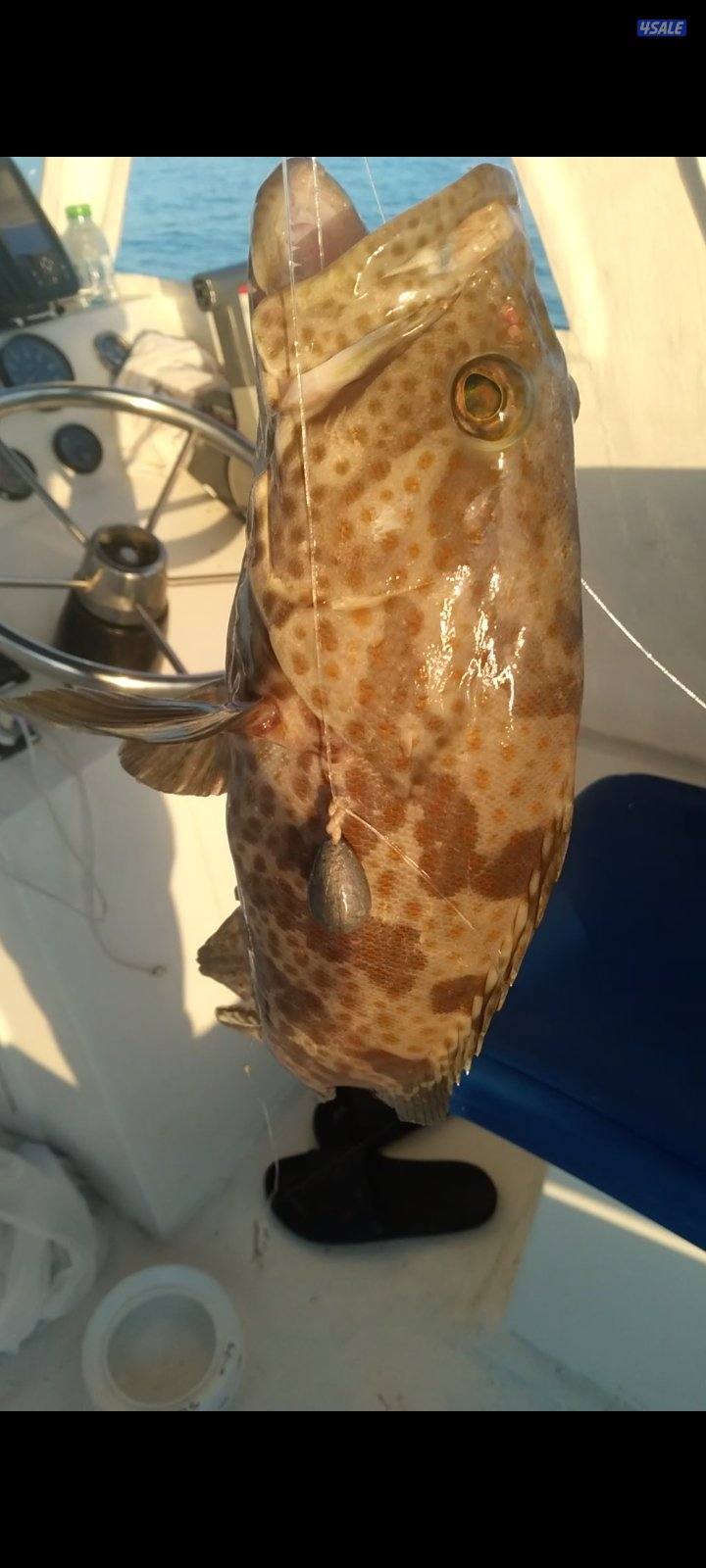 بنيد القار5