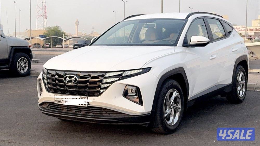 صبغ الوكالة ماشي 343