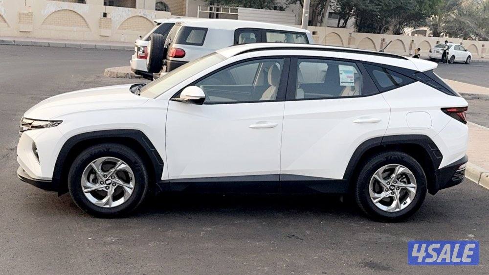 صبغ الوكالة ماشي 344