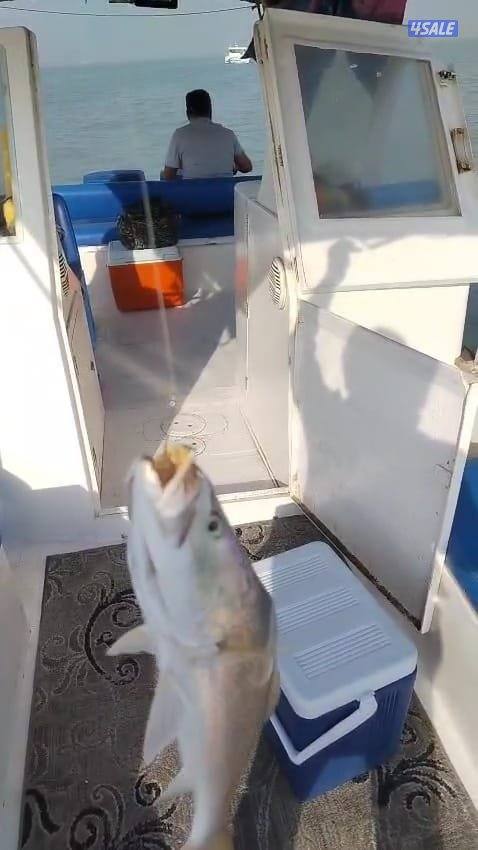 ايجار طراد حداق نزهة تاجير طراد رحلات بحرية2