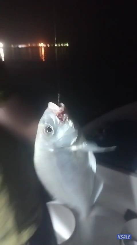 ايجار طراد حداق نزهة تاجير طراد رحلات بحرية1