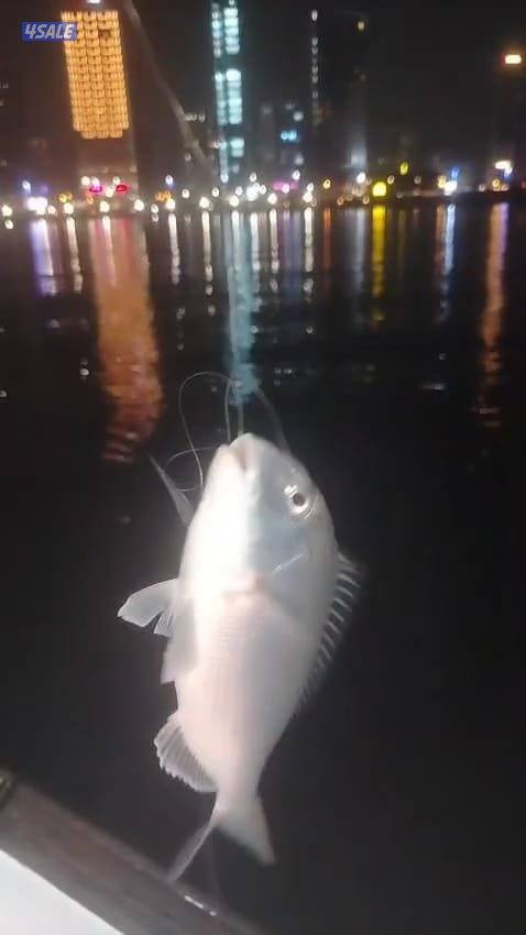 ايجار طراد حداق نزهة تاجير طراد رحلات بحرية4