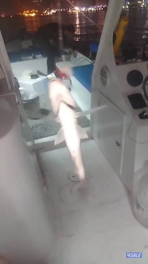 ايجار طراد حداق نزهة تاجير طراد رحلات بحرية6