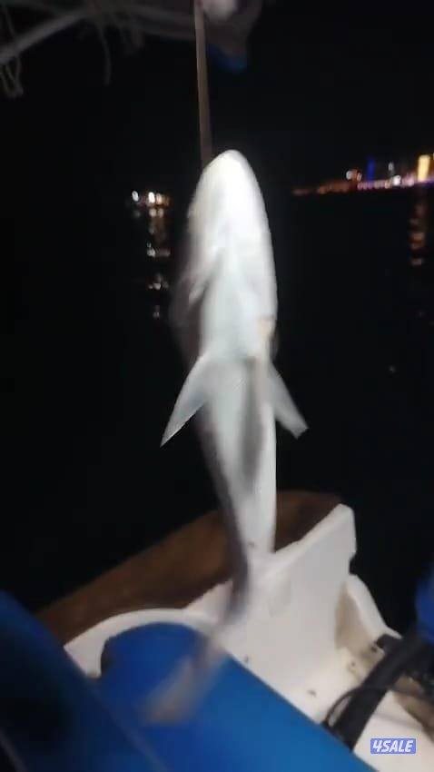 ايجار طراد حداق نزهة تاجير طراد رحلات بحرية8