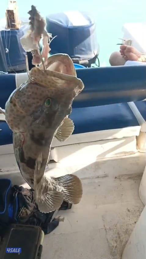 ايجار طراد حداق نزهة تاجير طراد رحلات بحرية11