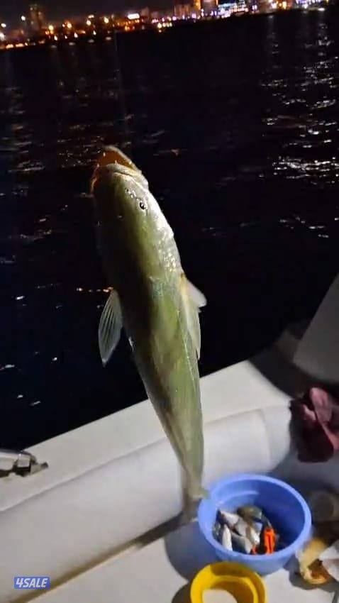 ايجار طراد حداق نزهة تاجير طراد رحلات بحرية10