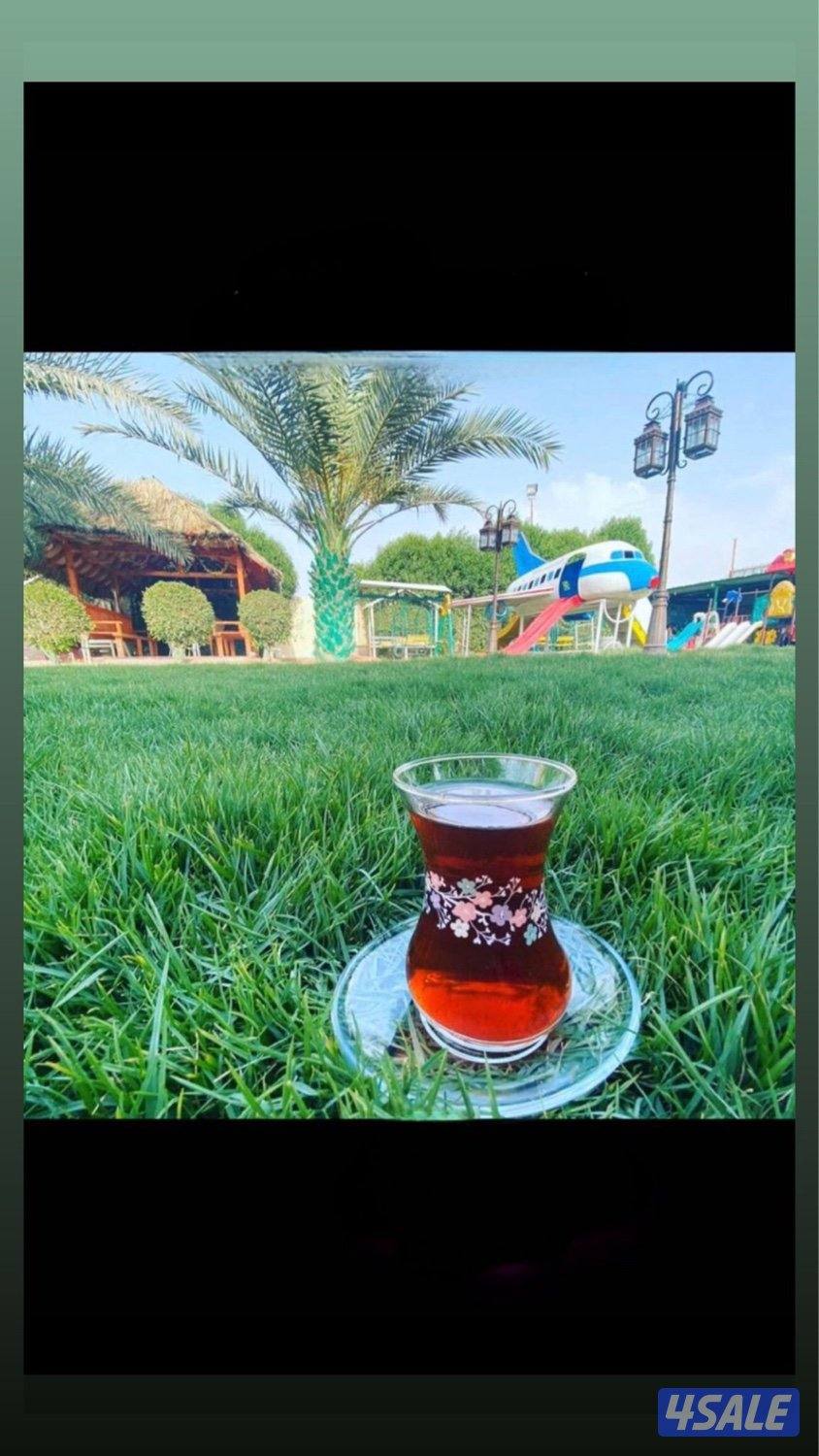 استراحة للايجار للعوائل فقط6