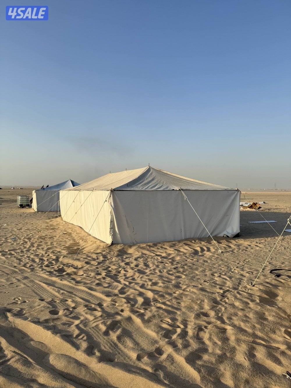 خيام امريكيه ماياكلها الحلال4