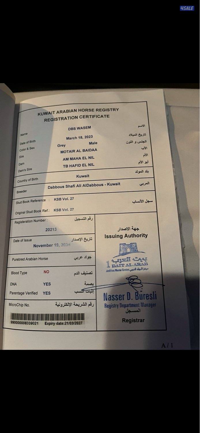 بيعه سريعه مصري بيور سلم وتحويل3