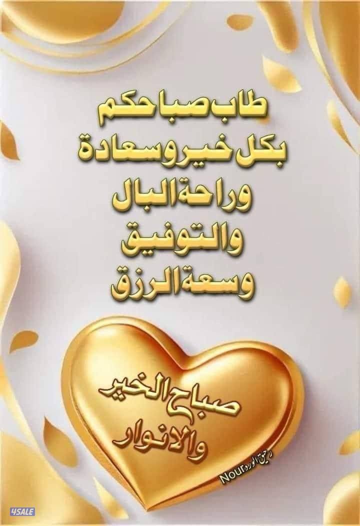 يمني ابحث عن عمل مندوب عام او تحصيل0