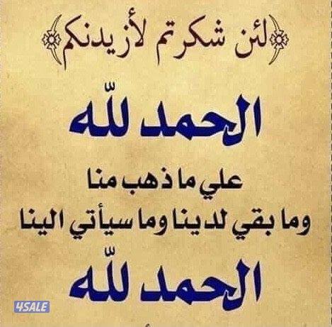 للإيجار قسيمه بالوفرة 5 وشقه بالمنقف عمارة جديدة اول ساكن0