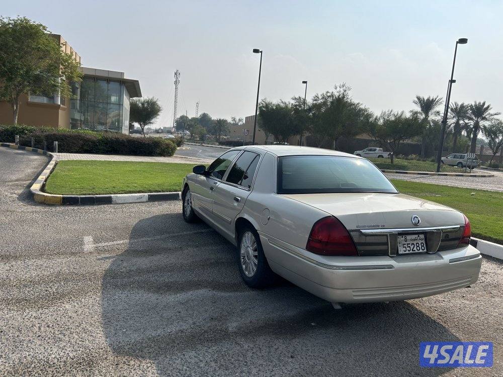 ماركيز 2011 ذهبي7