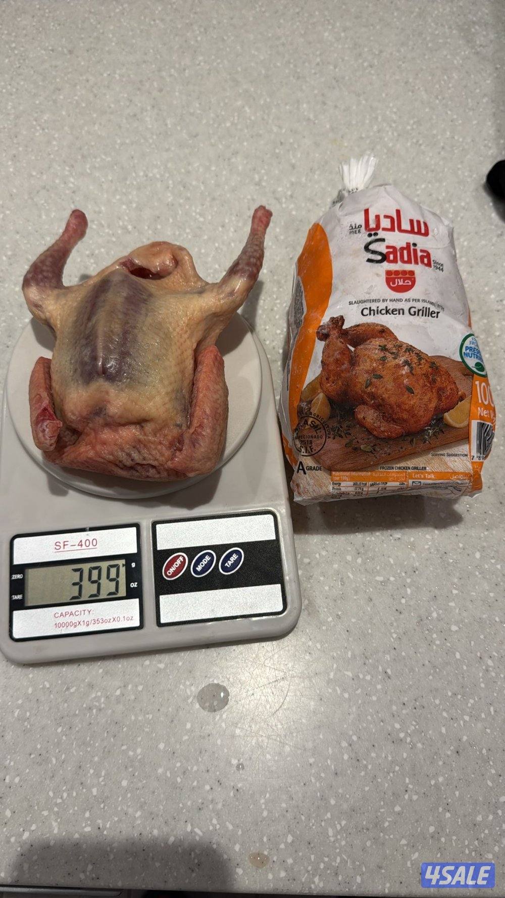 فروخ حمام زاجل + لاحم خصوصي جاهز للاكل شرط السمنه والحجم توصيل سريع4