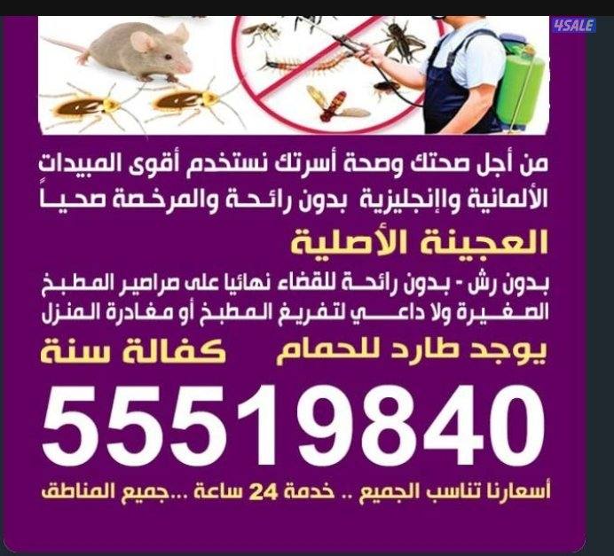 مكافحه جميع انواع الحشرات الصراصير النمل الفران1