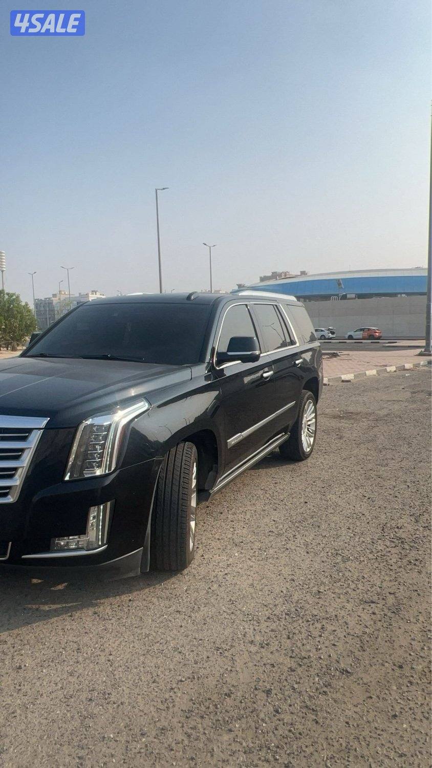 اسكلد 2016 بلاتينيوم0