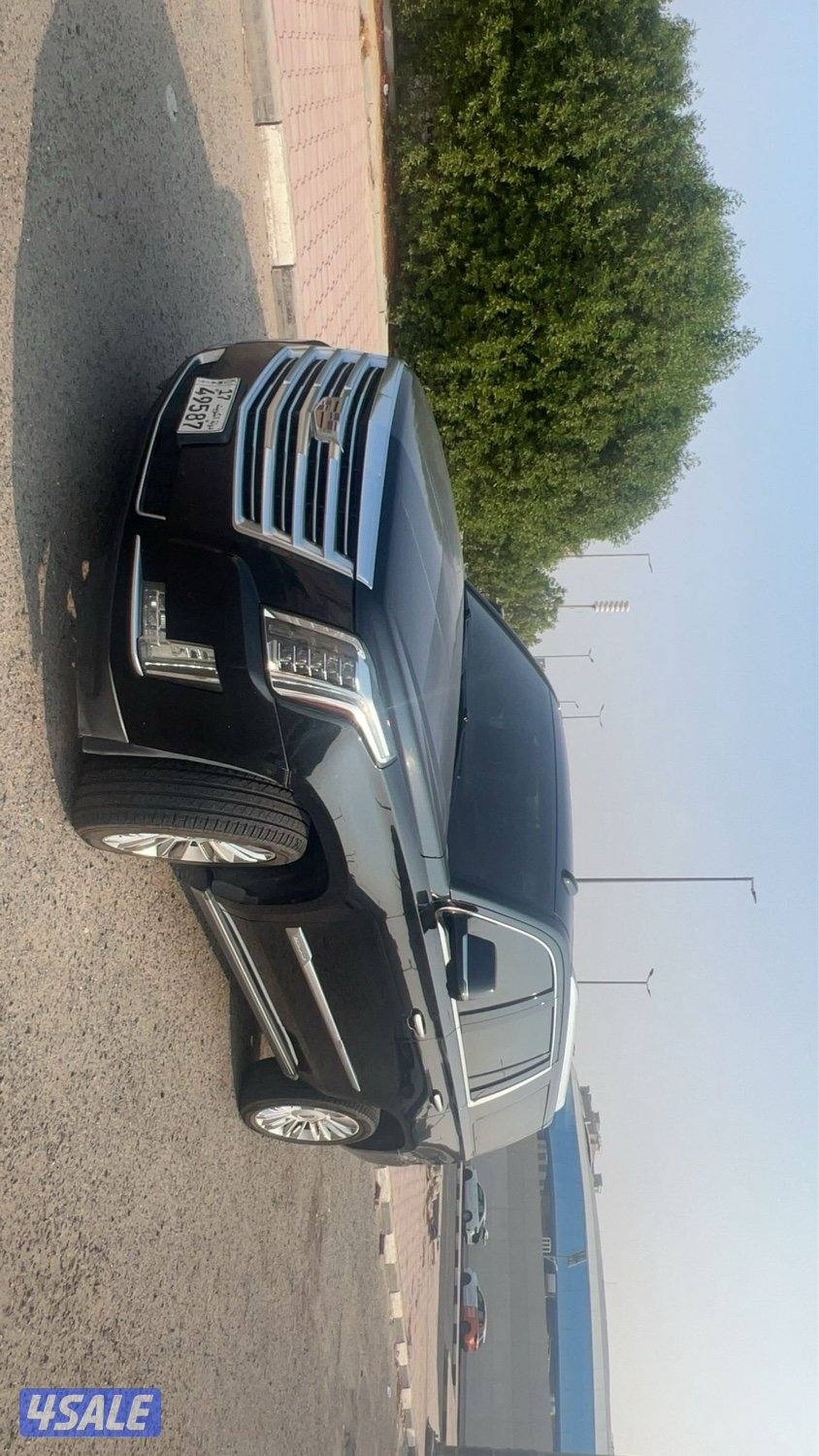 اسكلد 2016 بلاتينيوم1