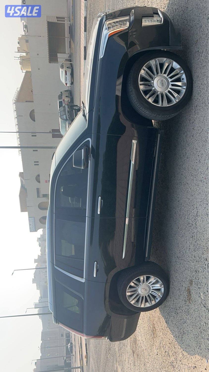 اسكلد 2016 بلاتينيوم3