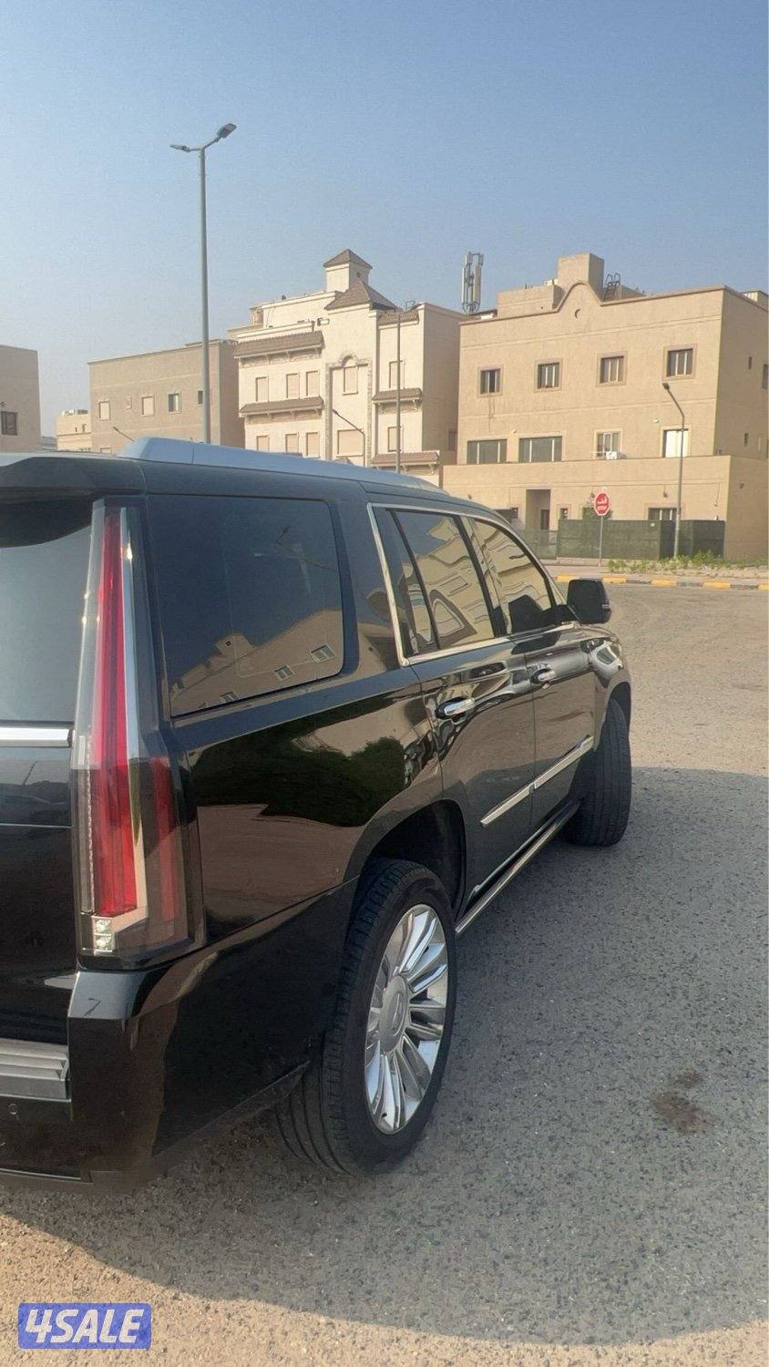 اسكلد 2016 بلاتينيوم4