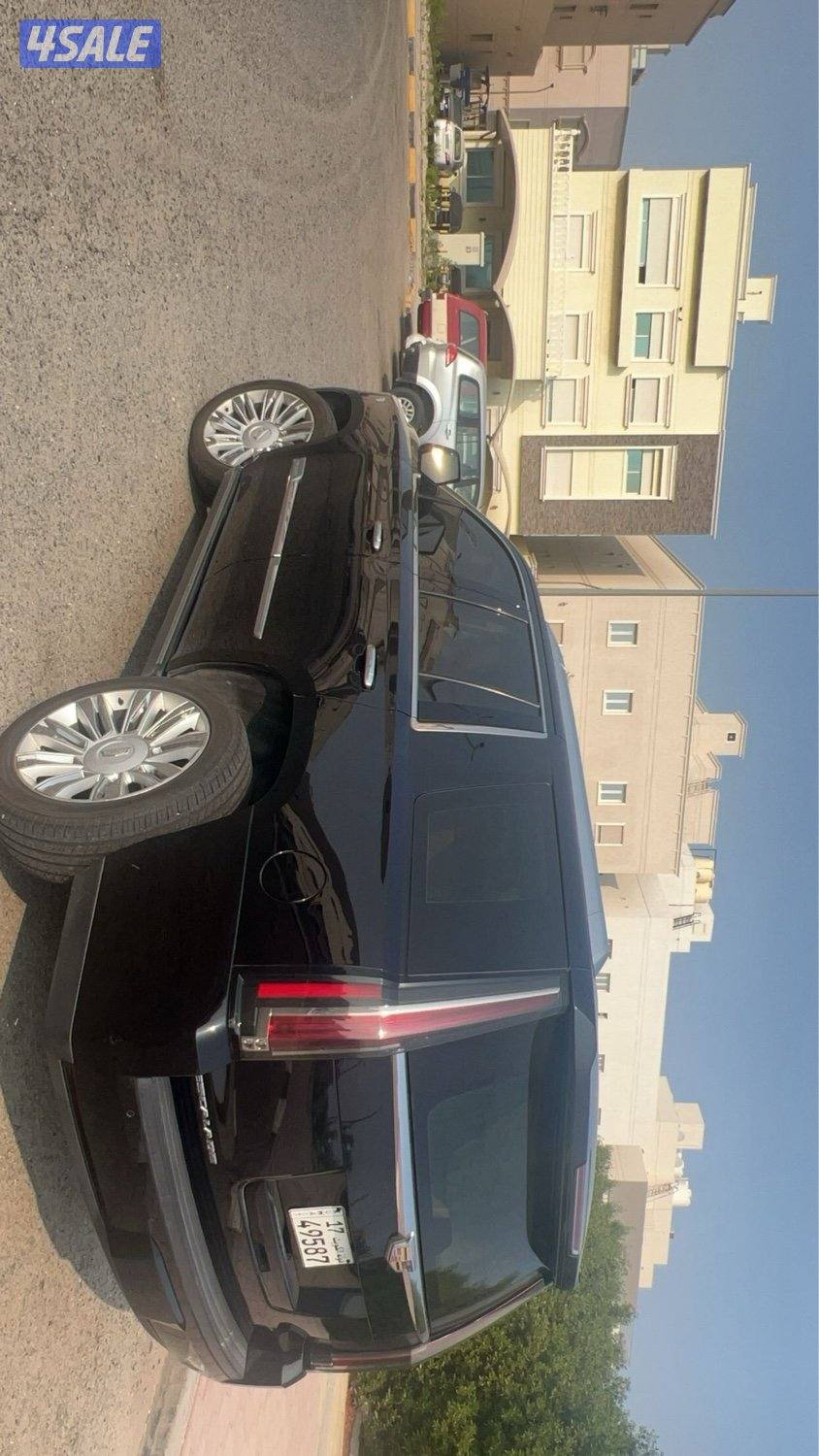 اسكلد 2016 بلاتينيوم6