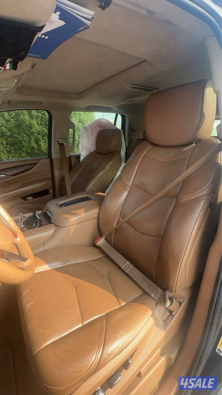 اسكلد 2016 بلاتينيوم8