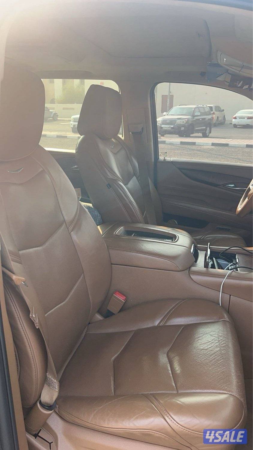 اسكلد 2016 بلاتينيوم13