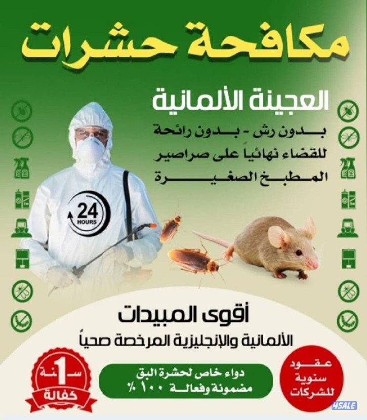 رش حشرات صراصير ونمل0