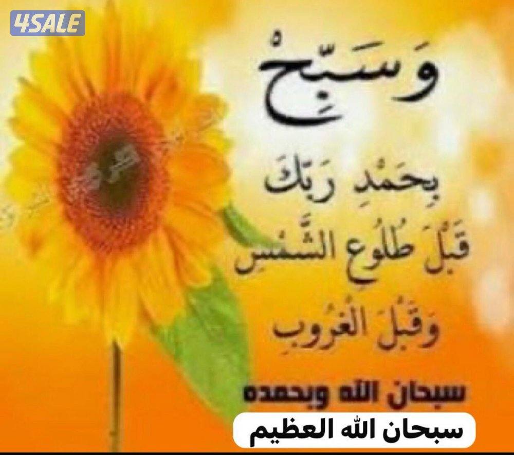 للايجار شقة بالمطلاع0