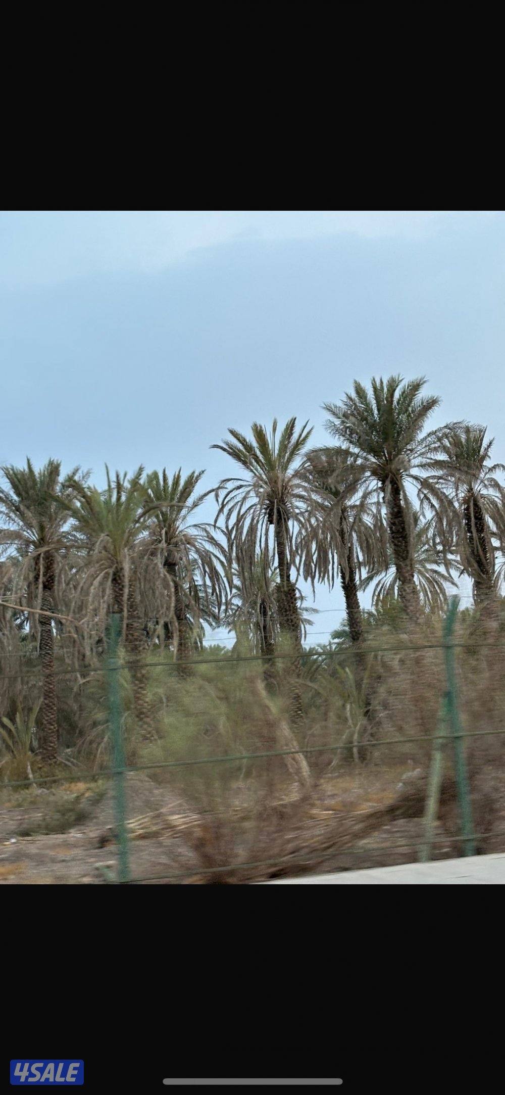 مطلوب بصورة عاجلة عماير هدام والدفع كاش بشرط يكون موقع طيب فقط للجادين0