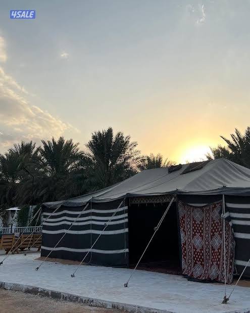 ‏مزرعة في الوفرة0