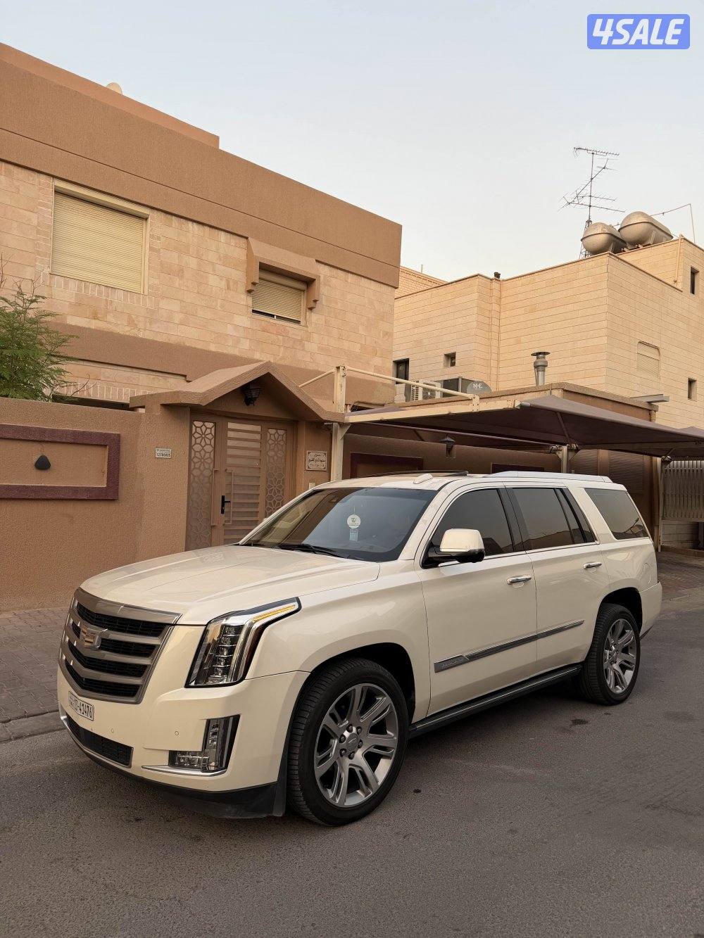 سكاليد 2015 صبغ الوكاله1