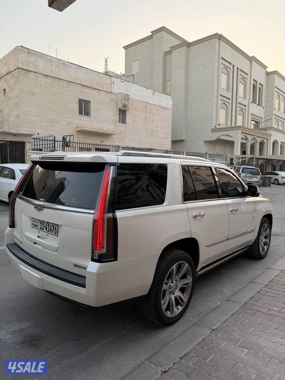 سكاليد 2015 صبغ الوكاله5