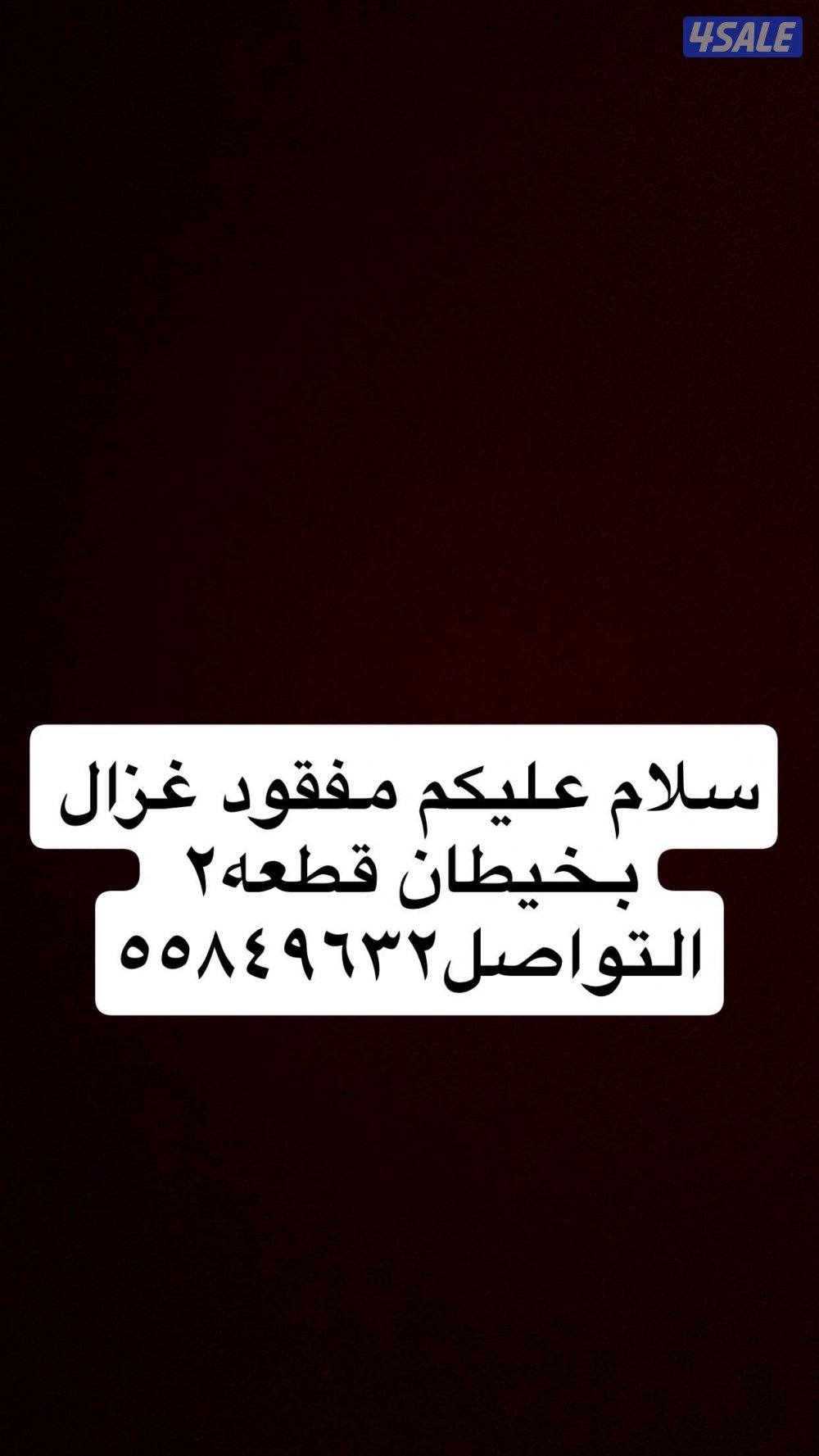 مفقود غزال بخيطان0