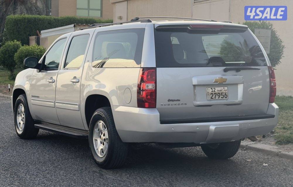 صبغ الوكالة - شرط الفحص2