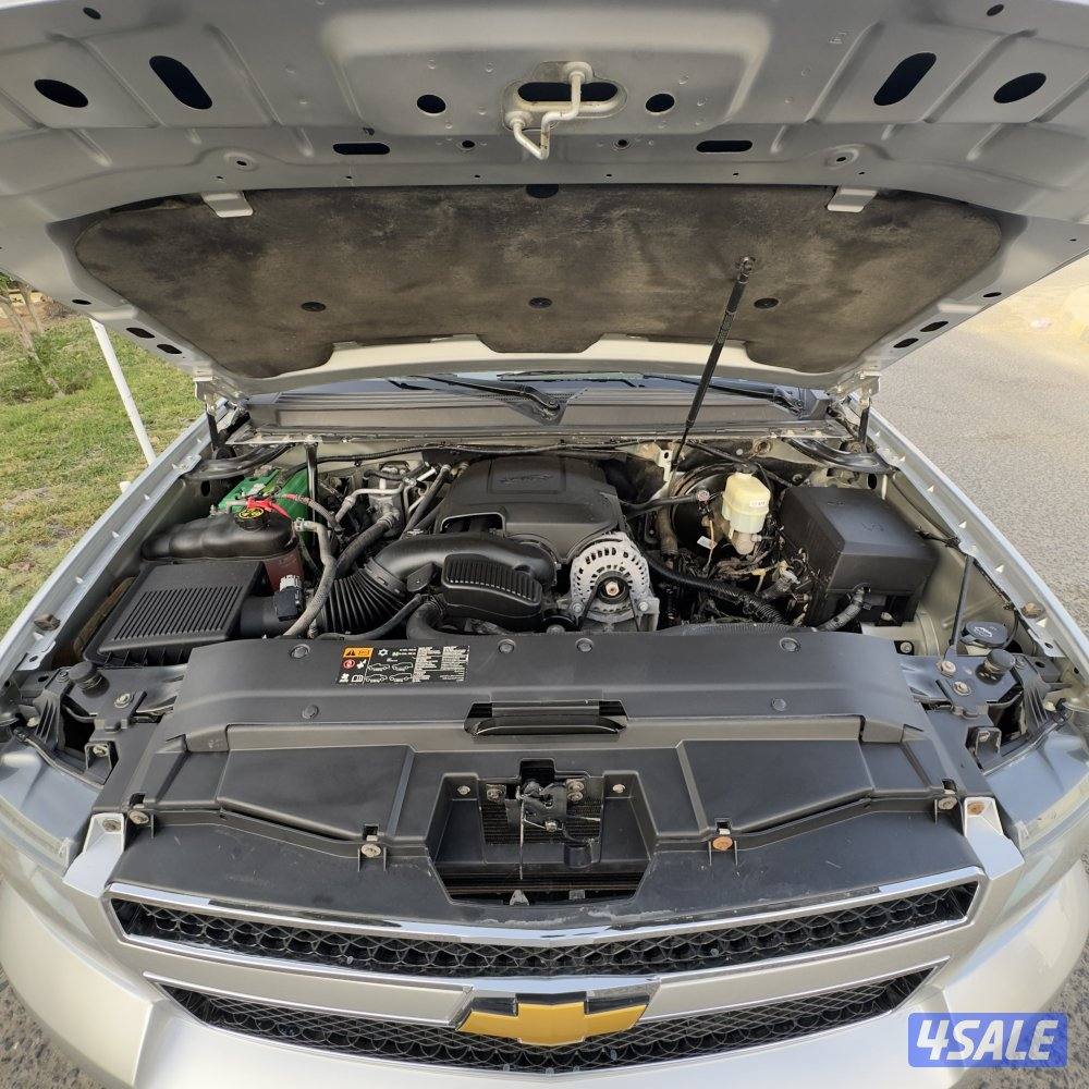 صبغ الوكالة - شرط الفحص8