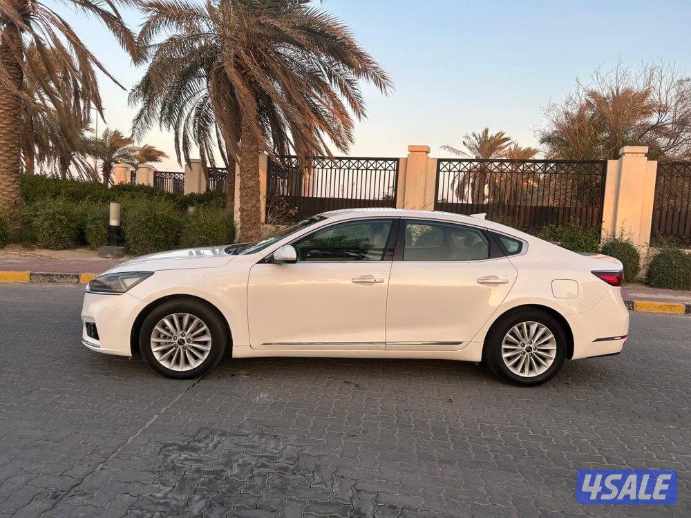 للمعاينه العارضيه الصناعيه2