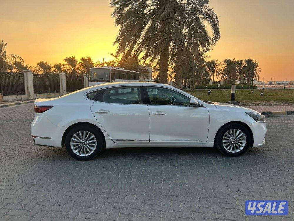 للمعاينه العارضيه الصناعيه4