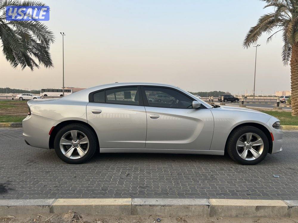 ‏المعاينة العارضية ‏الصناعية3