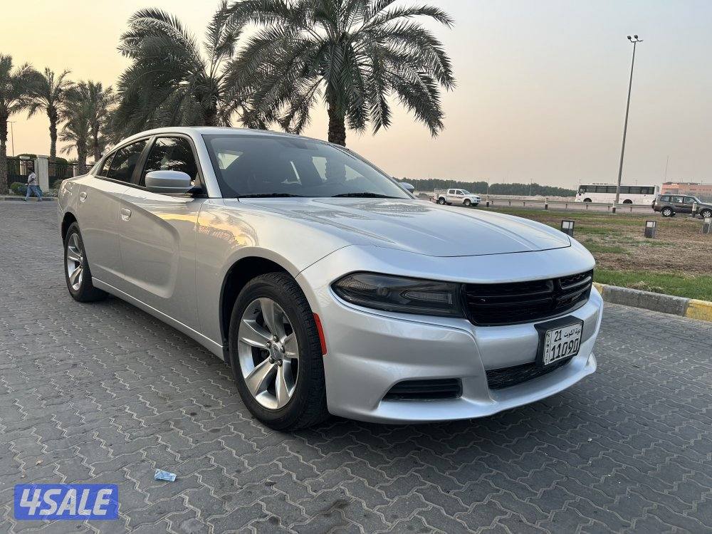 ‏المعاينة العارضية ‏الصناعية4