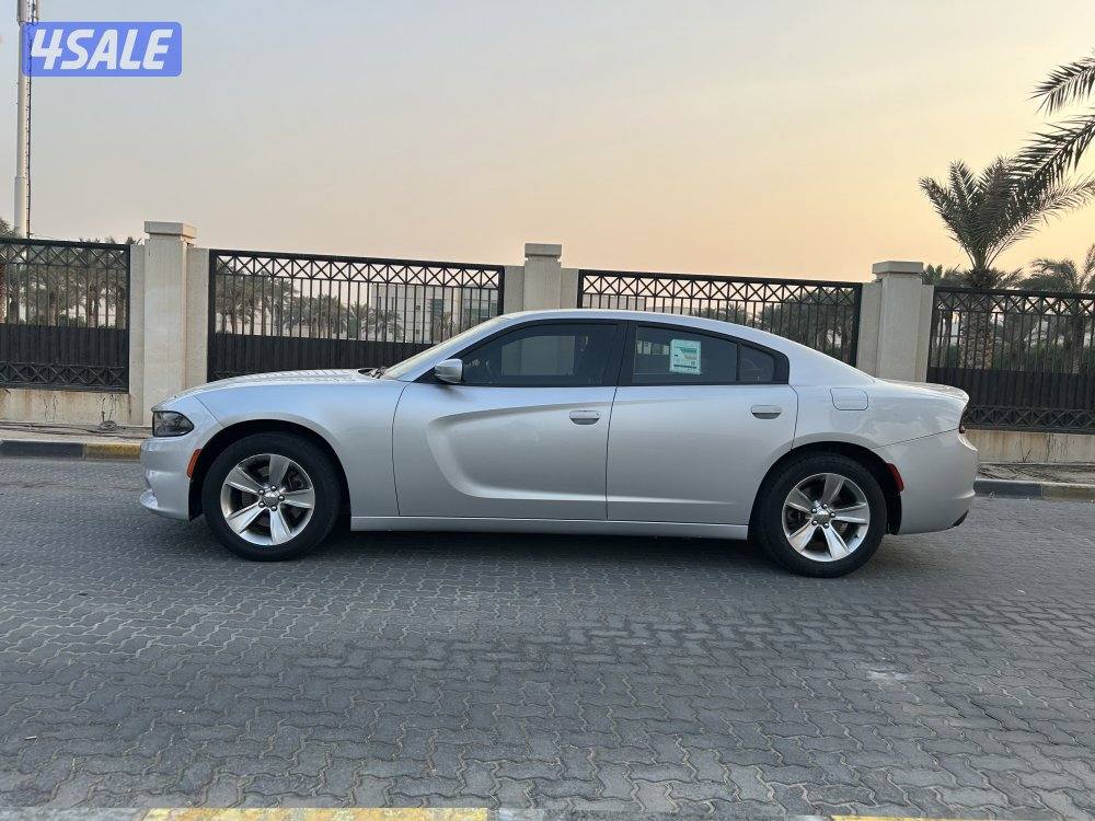 ‏المعاينة العارضية ‏الصناعية6