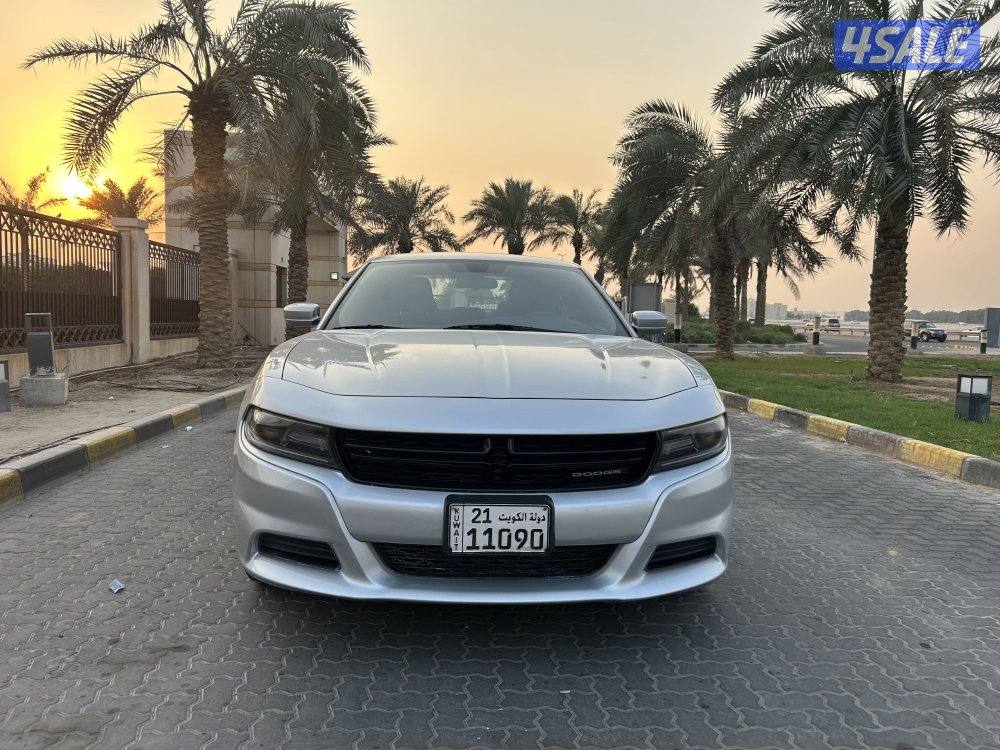 ‏المعاينة العارضية ‏الصناعية8