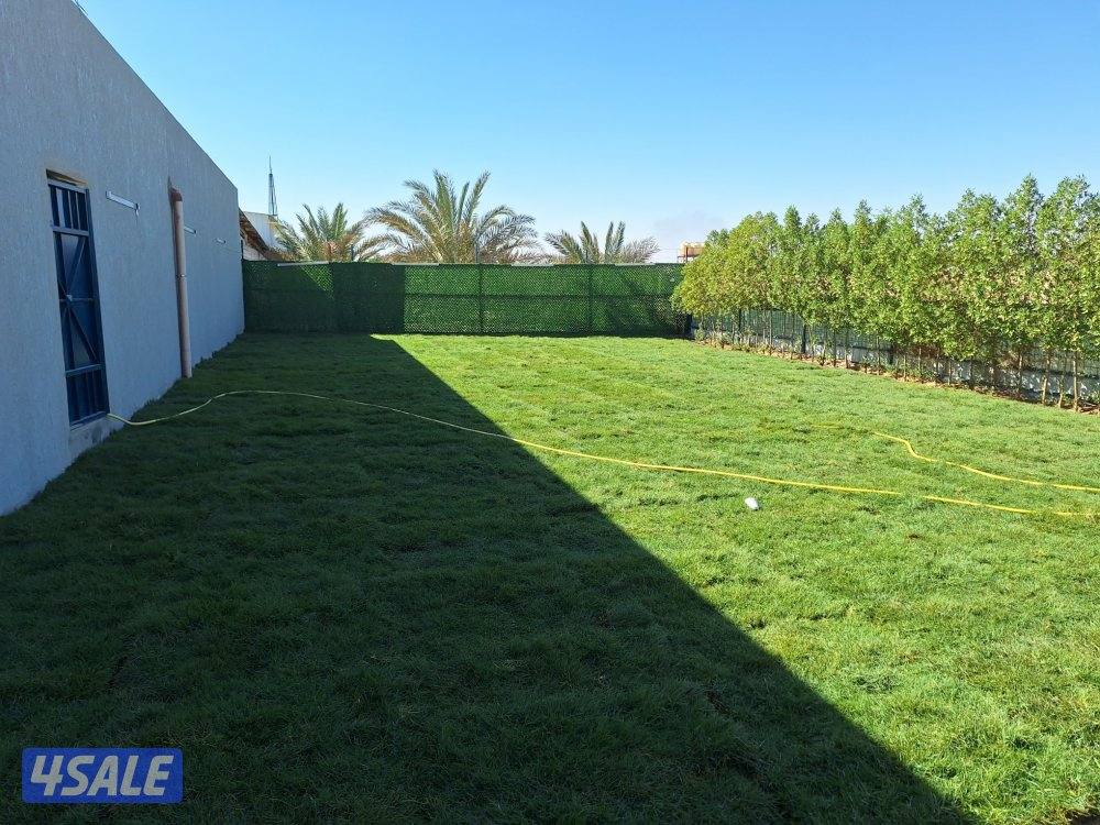 ابوعلى تنسيق الحديق6