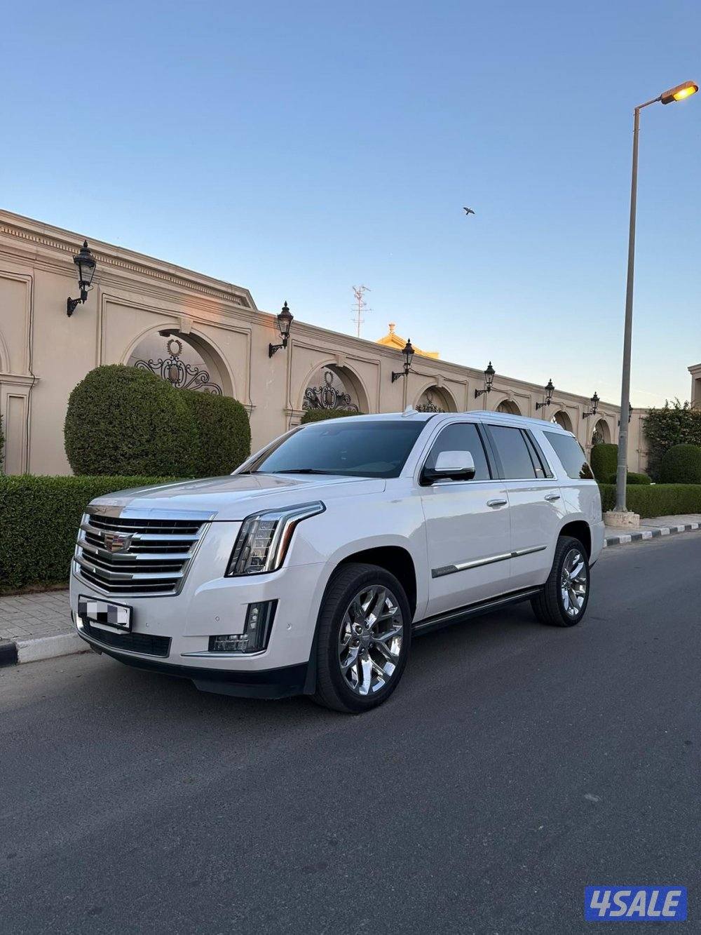 اسكاليد بلاتينيوم موديل 2019 اعلى درجه عداد قليل صبغ الوكاله ✔️0