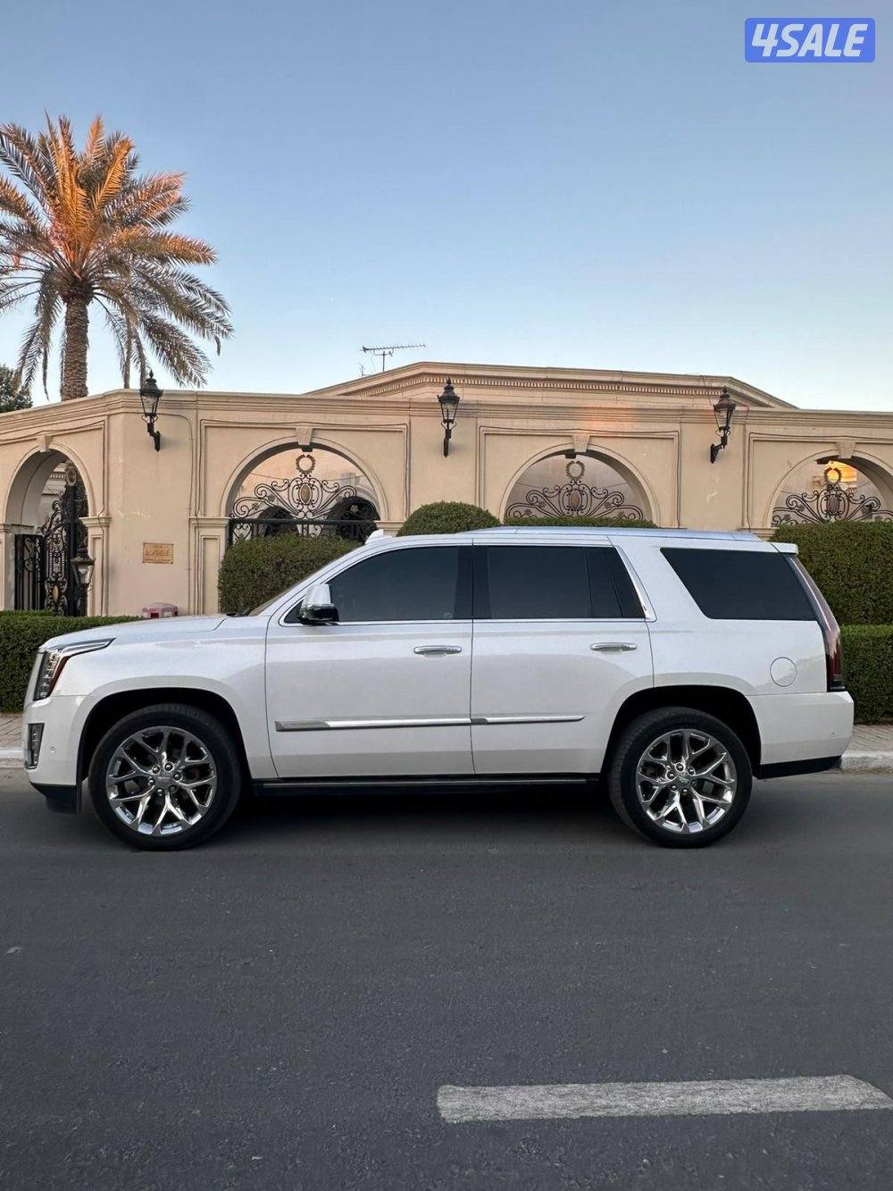 اسكاليد بلاتينيوم موديل 2019 اعلى درجه عداد قليل صبغ الوكاله ✔️2