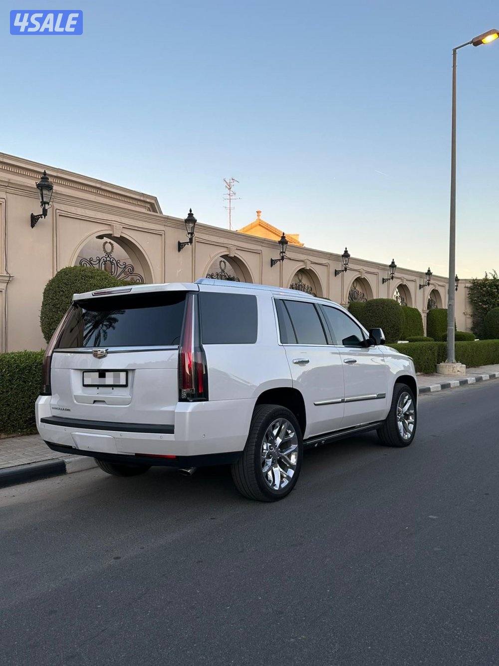 اسكاليد بلاتينيوم موديل 2019 اعلى درجه عداد قليل صبغ الوكاله ✔️3