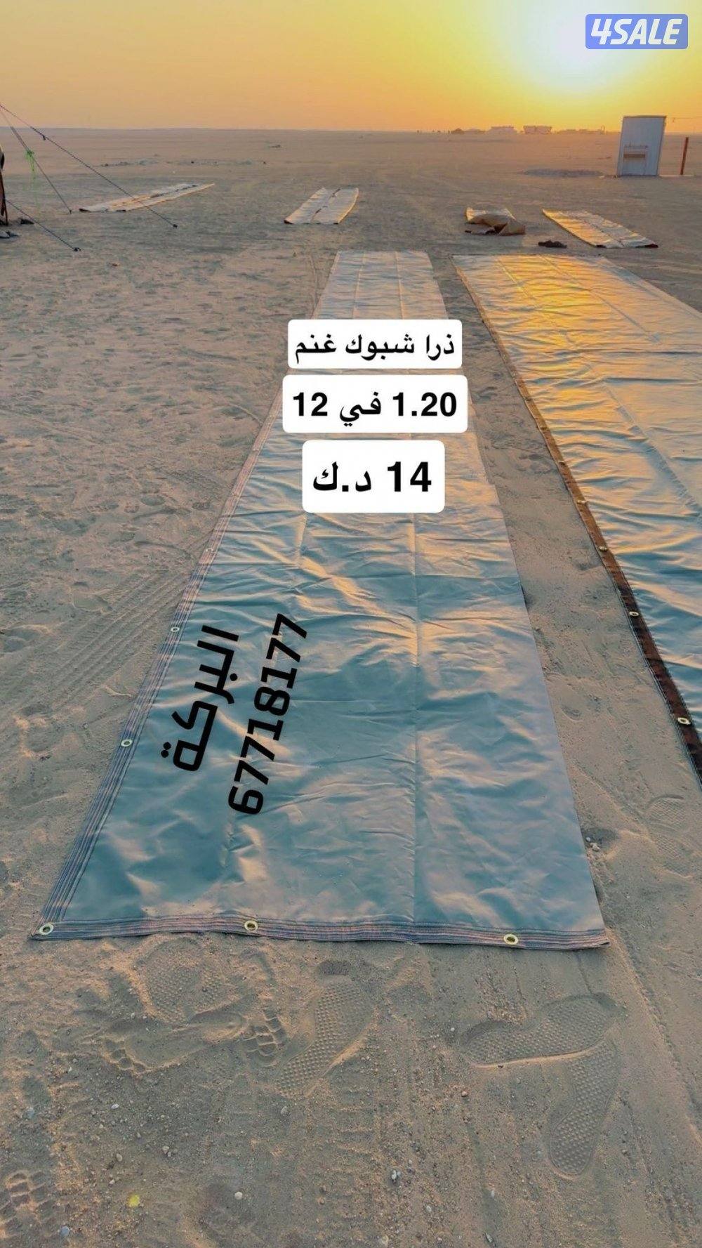 ذريات لشبوك الغنم وشبوك الابل0