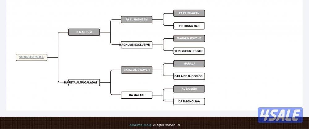 مهر حفيد الرشيم2