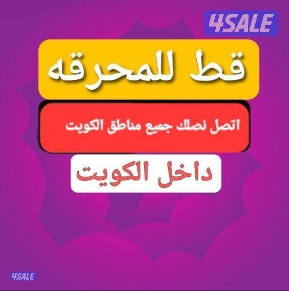 قط اغراض قط الأثاث التالف استكراب شيل الانقاض نظافة اسطح ومنازل قط1